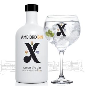 Ambiorix Gin